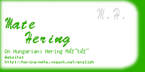 mate hering business card